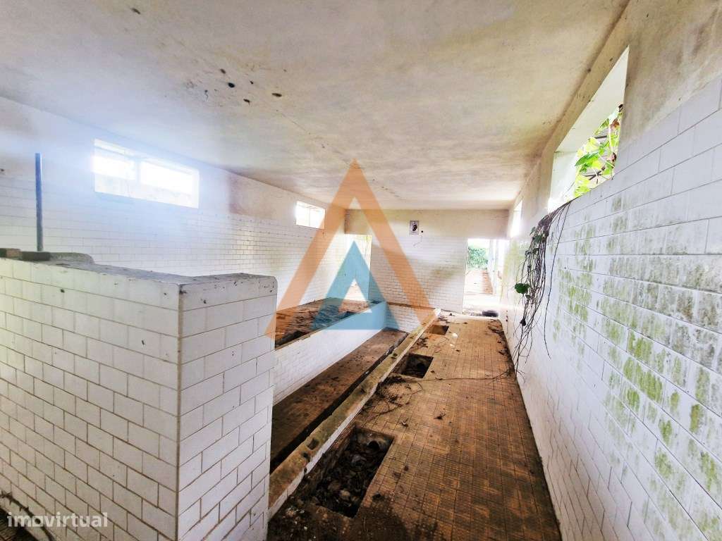 Maravilhosa quinta com casa e terreno-28