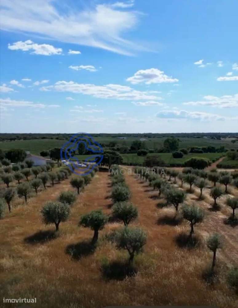 Moradia de Charme para venda em Casa Branca - Grande imagem: 4/60