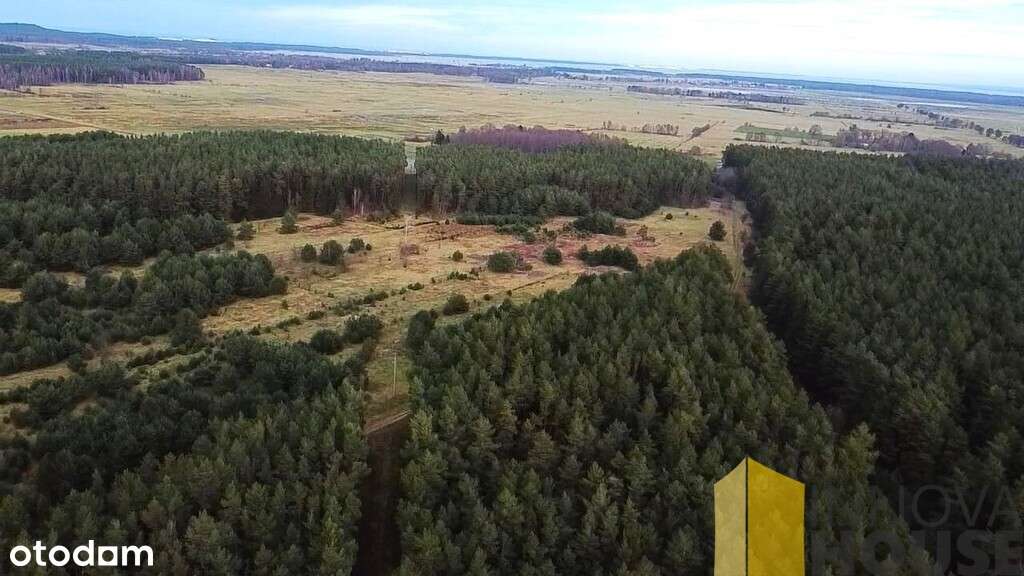 działka Smołdzino 2841 m2 - Pełny obrazek: 5/6