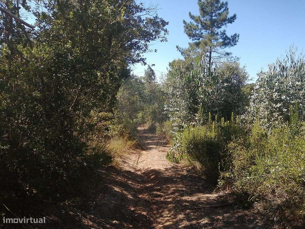 Terreno  para venda - Grande imagem: 1/3