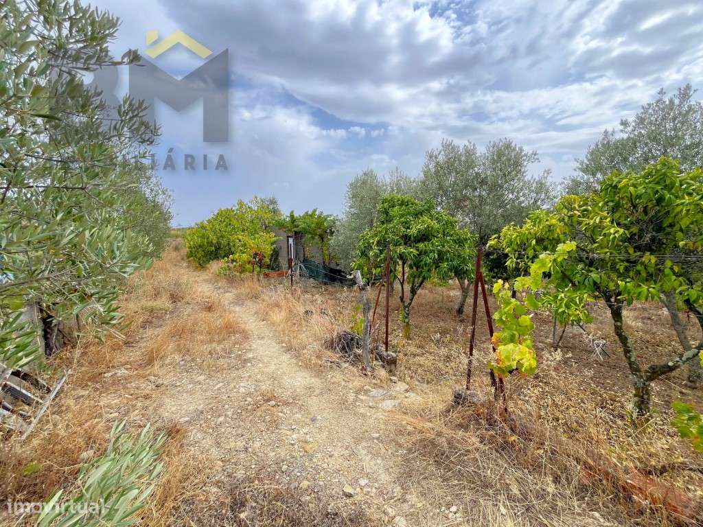 Terreno urbano com 1140m2 de área, localizado no Bairro do Valongo,... - Grande imagem: 5/19