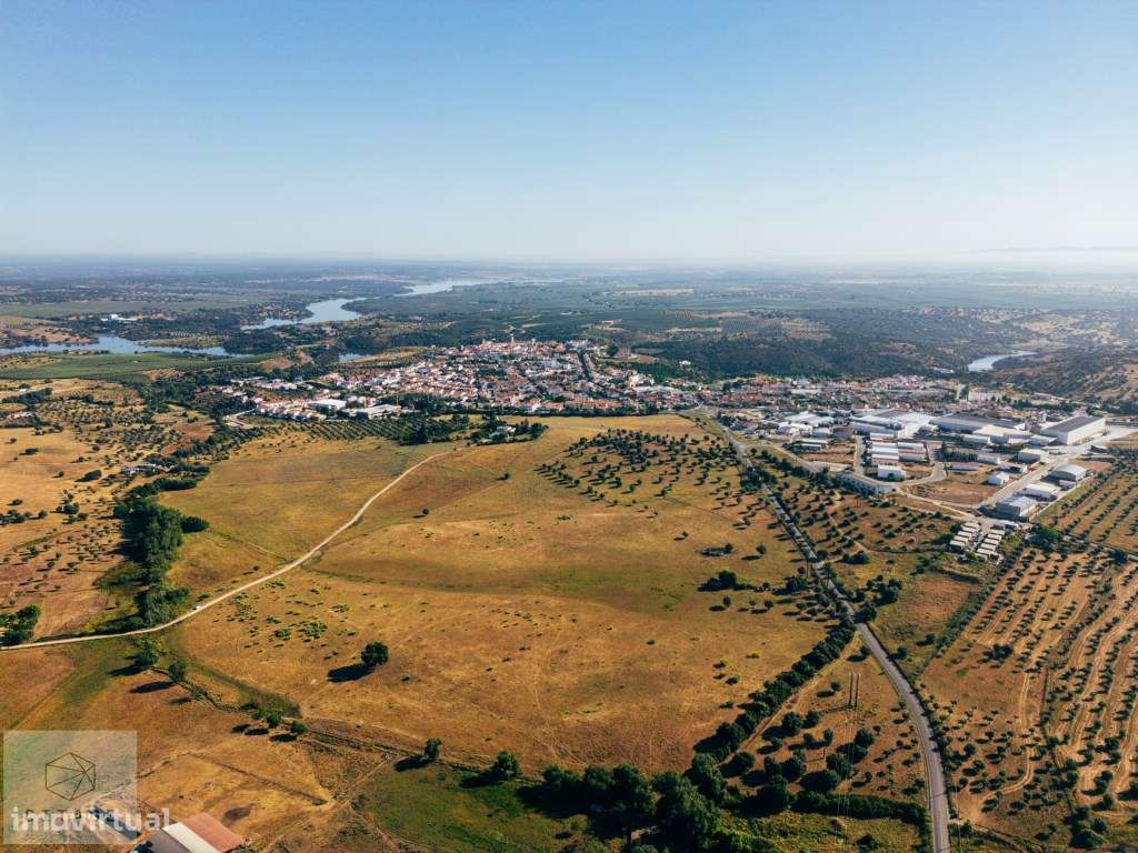 Terreno de olival em Avis - Grande imagem: 4/17