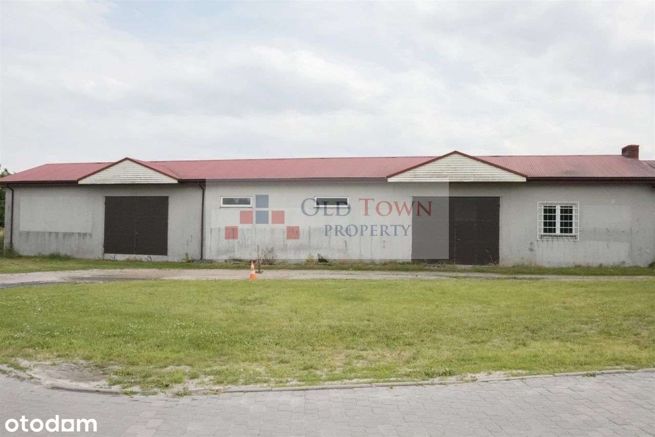 Magazyn 250 m2 Kurów - Pełny obrazek: 5/5