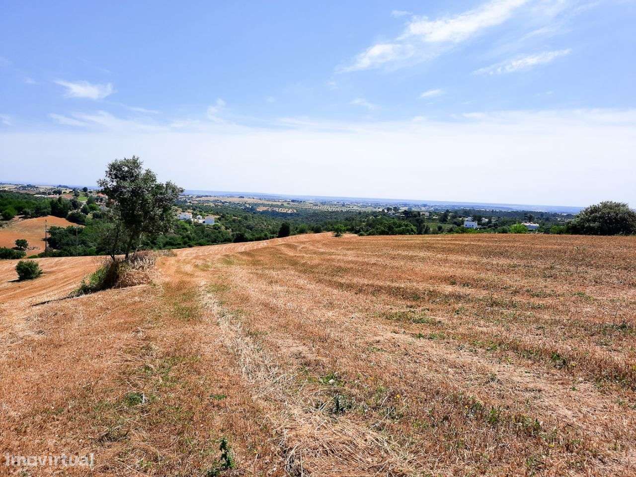 Terreno com 6.100 m2 - Grande imagem: 3/5