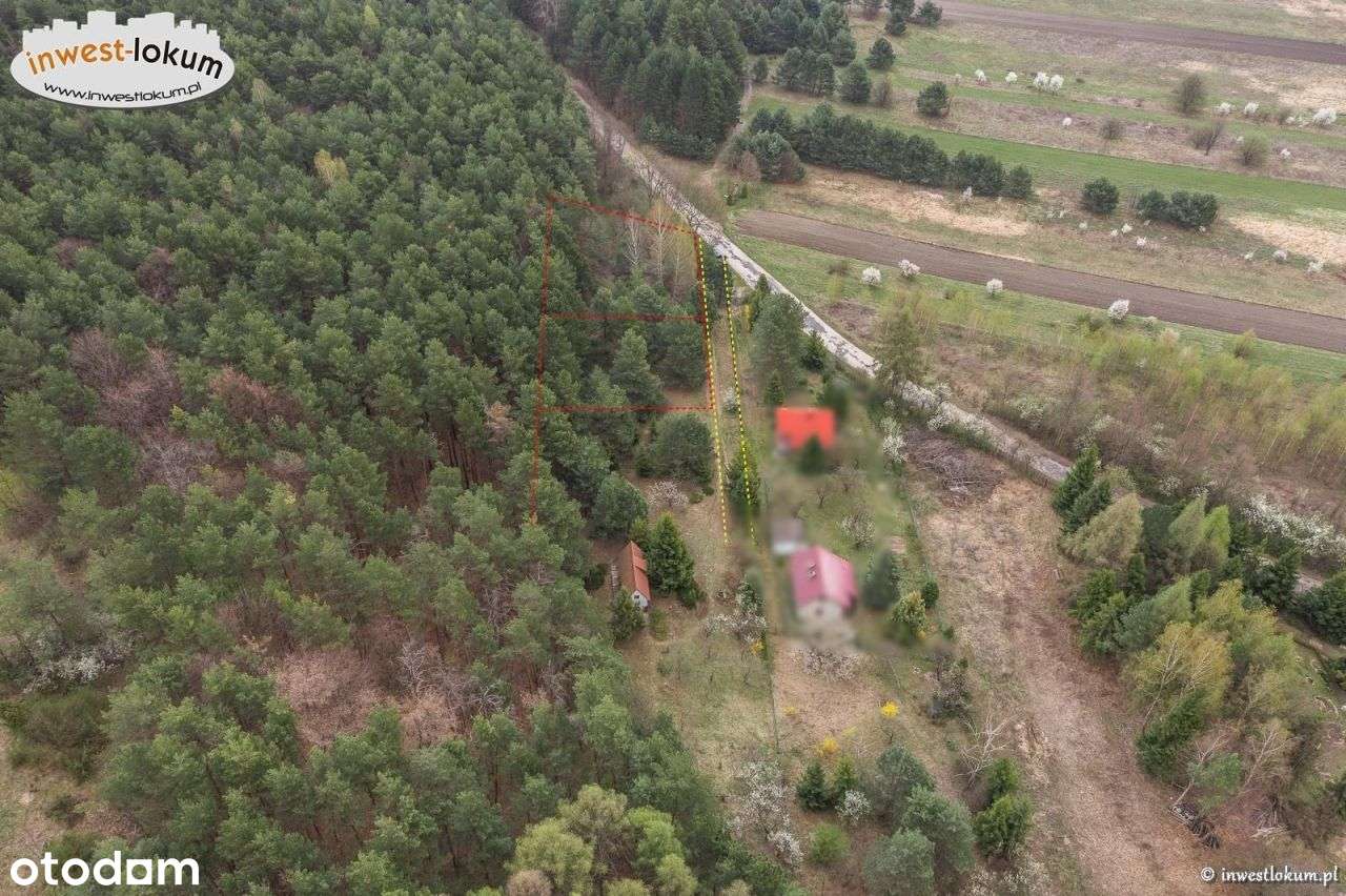 Działka, 694 m², Rodaki - Pełny obrazek: 4/5