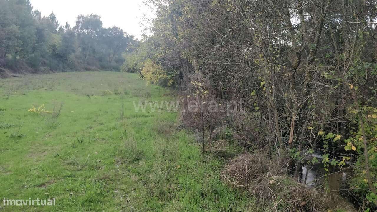 Terreno Rústico / Fundão, Póvoa de Atalaia e Atalaia do Campo - Grande imagem: 5/20