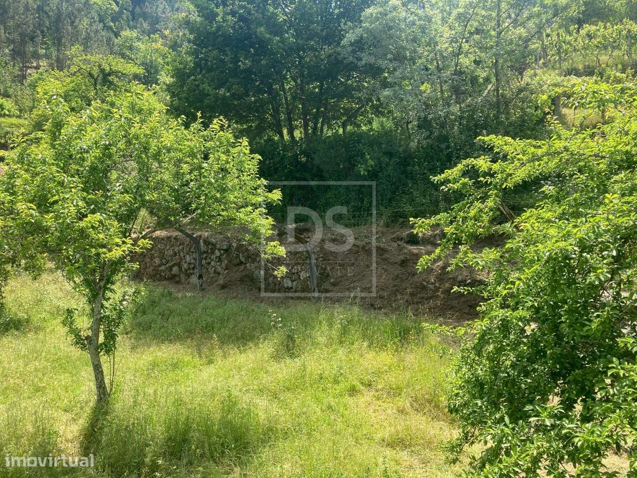 Quinta T2 Venda em Paredes de Viadores e Manhuncelos,Marco de Canavese-26