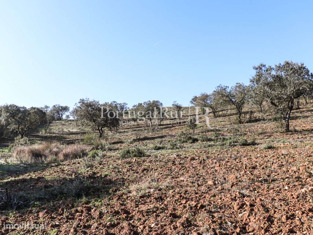 Propriedade de 8 hectares em Terena - Alandroal - Grande imagem: 3/9