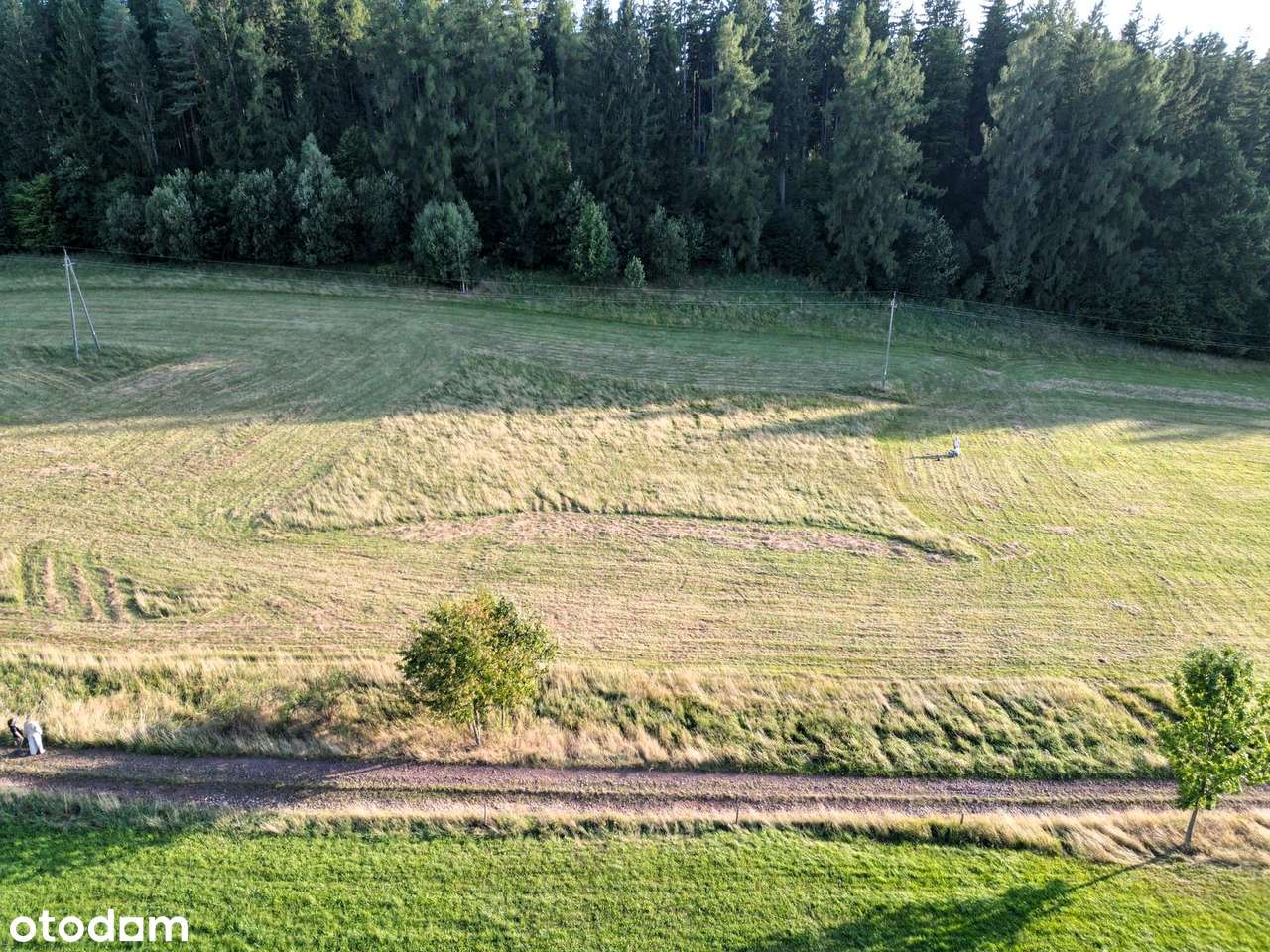 Działka, Sierpnica, Gm. Głuszyca, Wałbrzyski - Pełny obrazek: 5/5