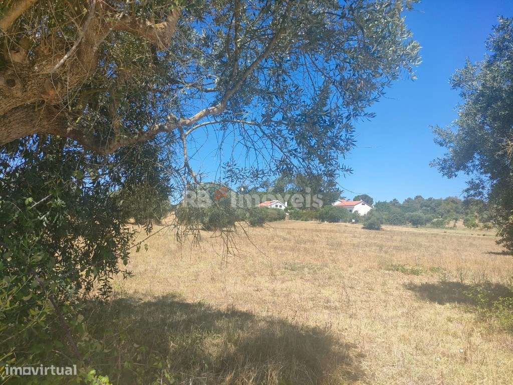 3 Terrenos Rústicos com área total de 18.880m2 - Cabeças, Tomar - Grande imagem: 5/17