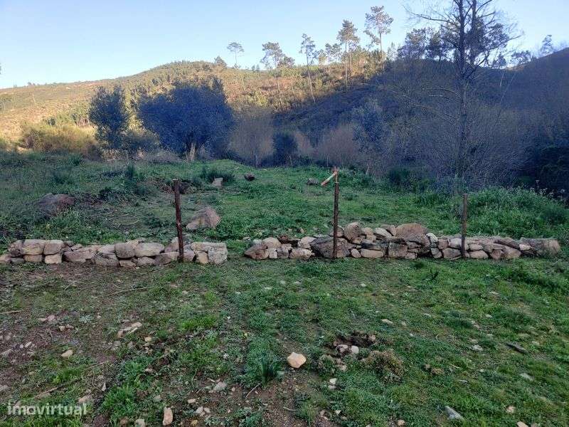 Terreno Rústico 5000m2 - Grande imagem: 4/5