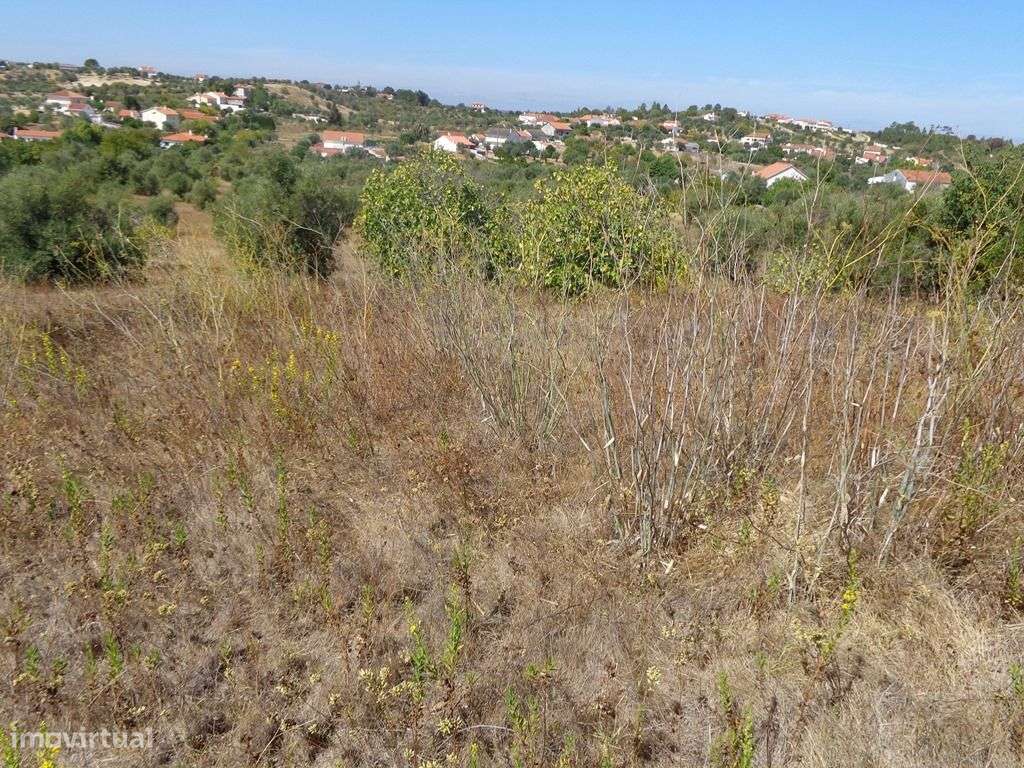 Terreno - T1499/15 - Grande imagem: 3/7