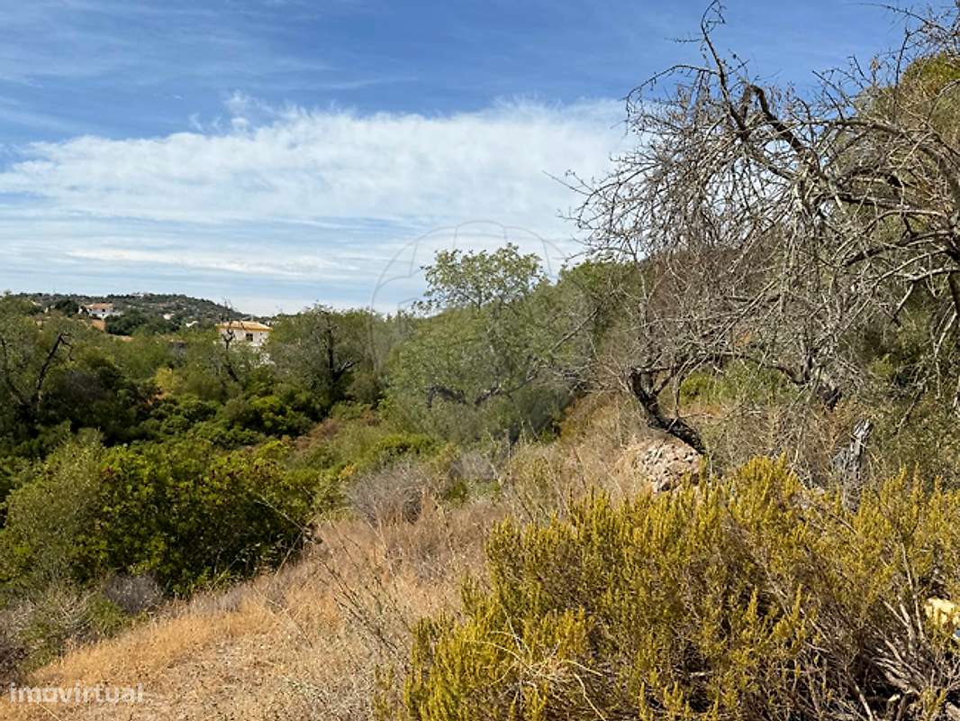 Terreno  para venda - Grande imagem: 4/5