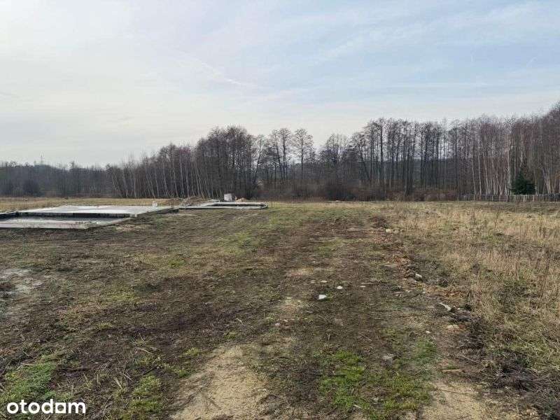 Działka na małym osiedlu pod Gostyninem - Pełny obrazek: 3/7