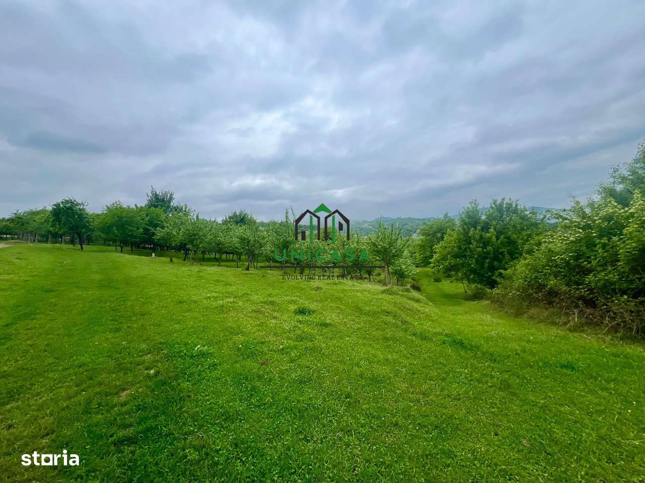 Teren 3507 mp/ Seaca/Calimanesti - Imagine principală: 1/4