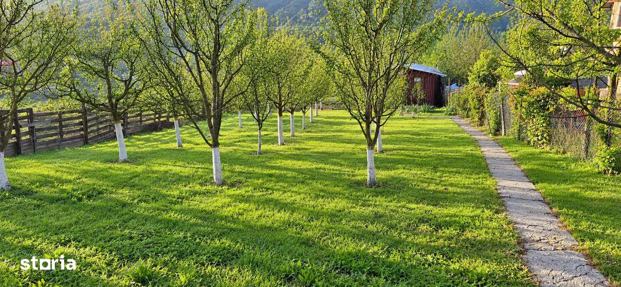 TEREN INTRAVILAN DE VANZARE IN GHINDA – 1.328 MP | DOUA PARCELE | 45.0-2