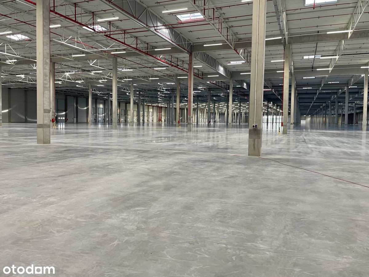 Magazyn 32.000m2 Radziejowice Mszczonów przy S8