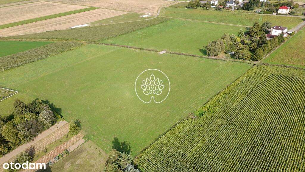 Działki budowlane / Malownicza okolica - Pełny obrazek: 4/5