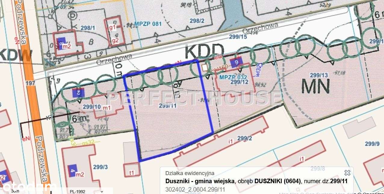 działka budowlana w Dusznikach - Pełny obrazek: 5/5