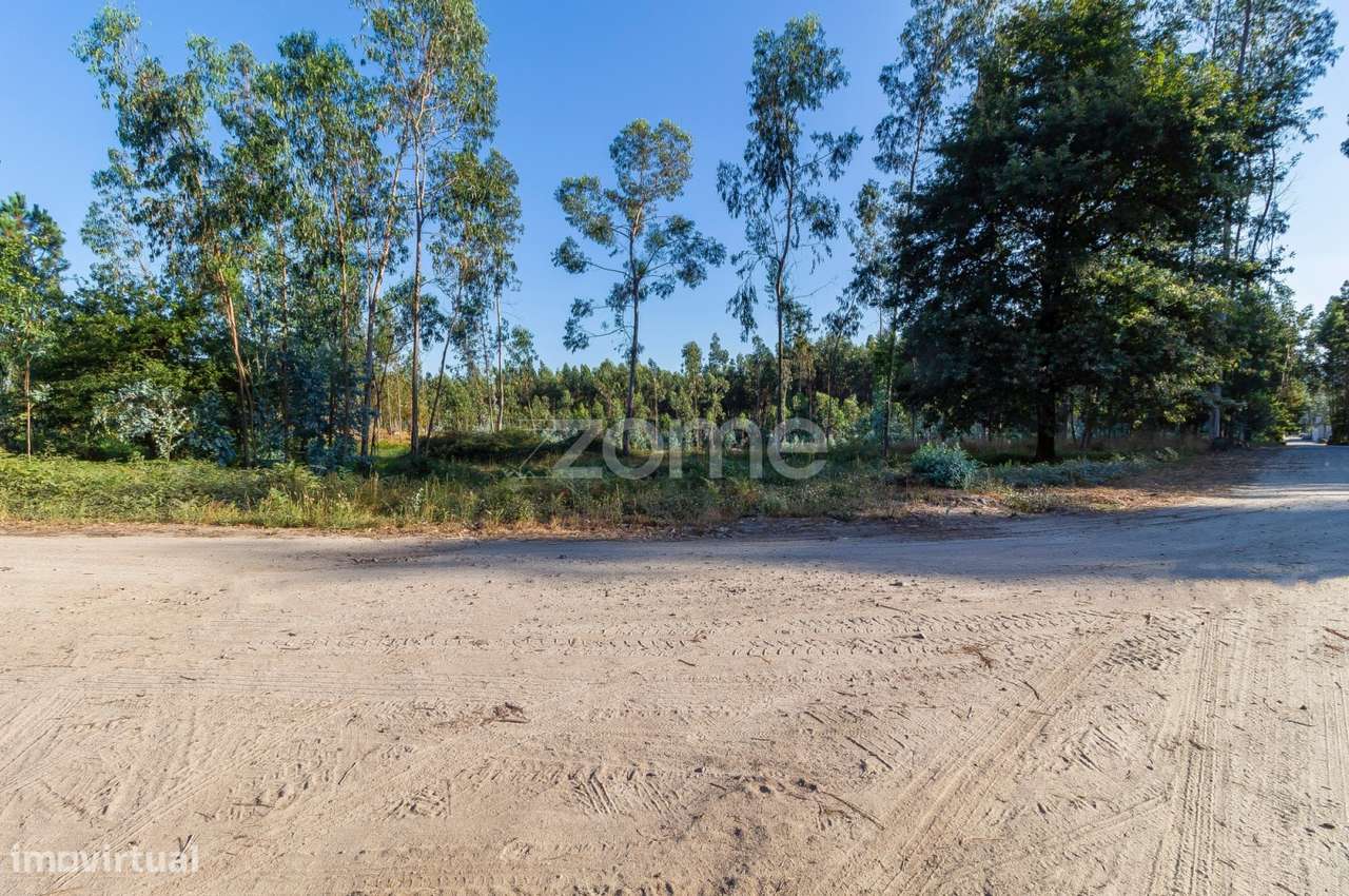 Terreno Rústico com 7.900 m2 em Monte Córdova - Santo Tirso - Grande imagem: 5/11