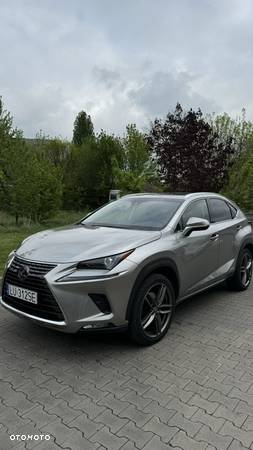 Lexus NX 300h E-FOUR Business Line - 14