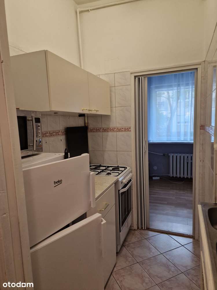 Grunwald, 2 pokoje, niski blok, osobna kuchnia-2