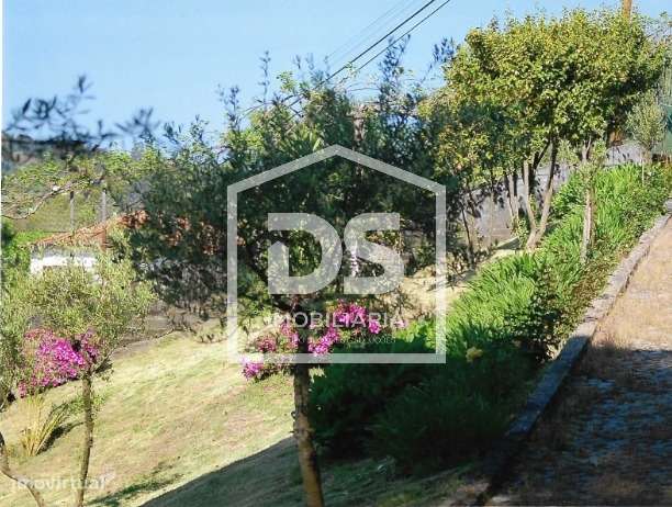 Quinta com Vinha e Produção de Vinho – Freixo de Baixo, Amarante-5