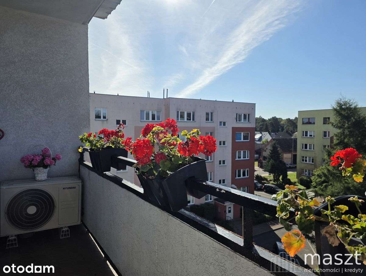 nowa cena - taniej o 30.000 zł-12