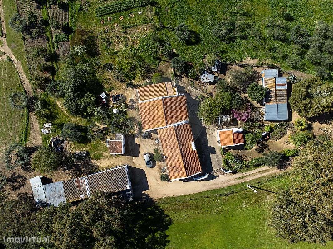 Quinta T6 para venda-8