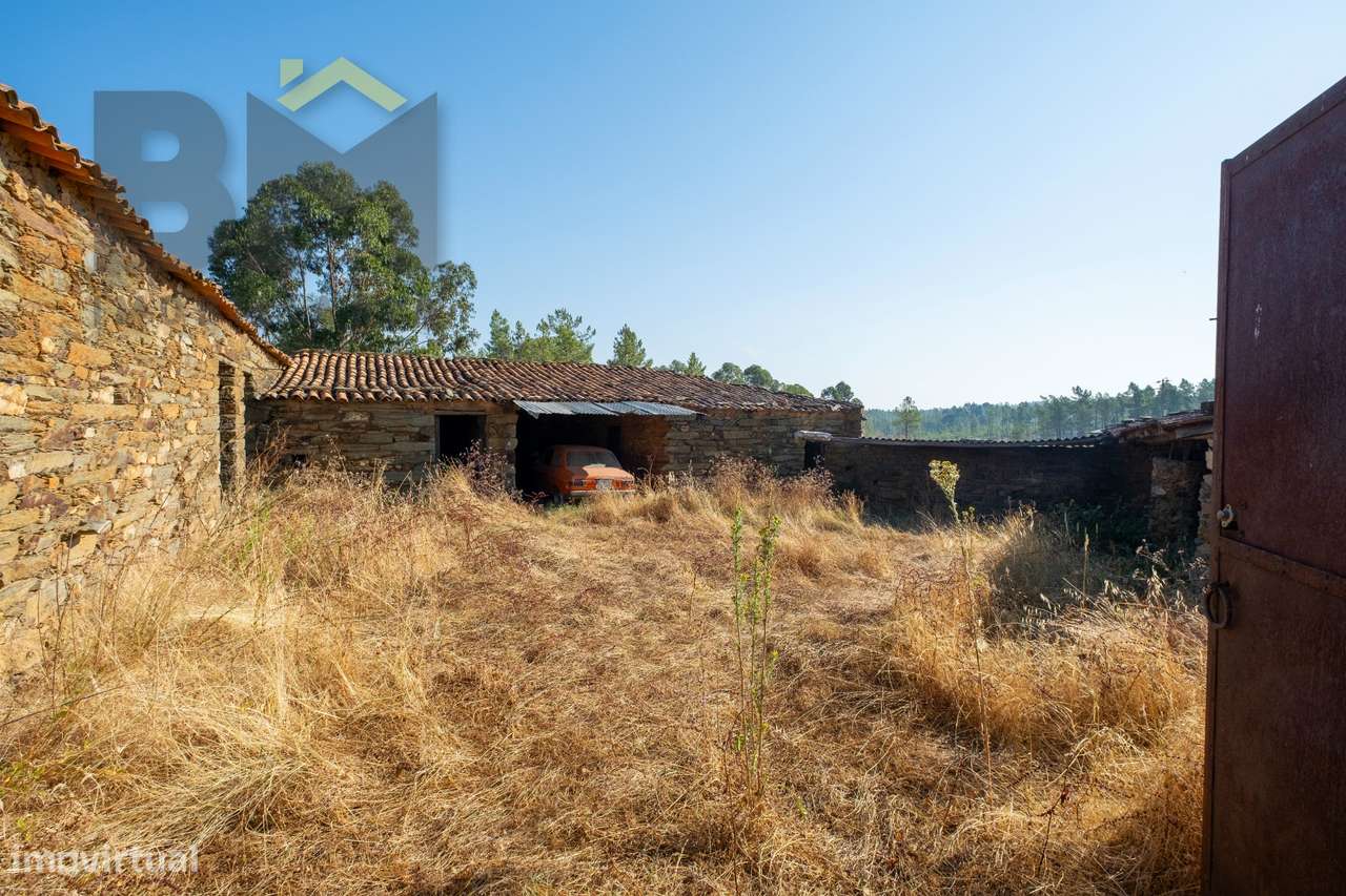 Quintinha  Venda em Sarzedas,Castelo Branco - Grande imagem: 5/23