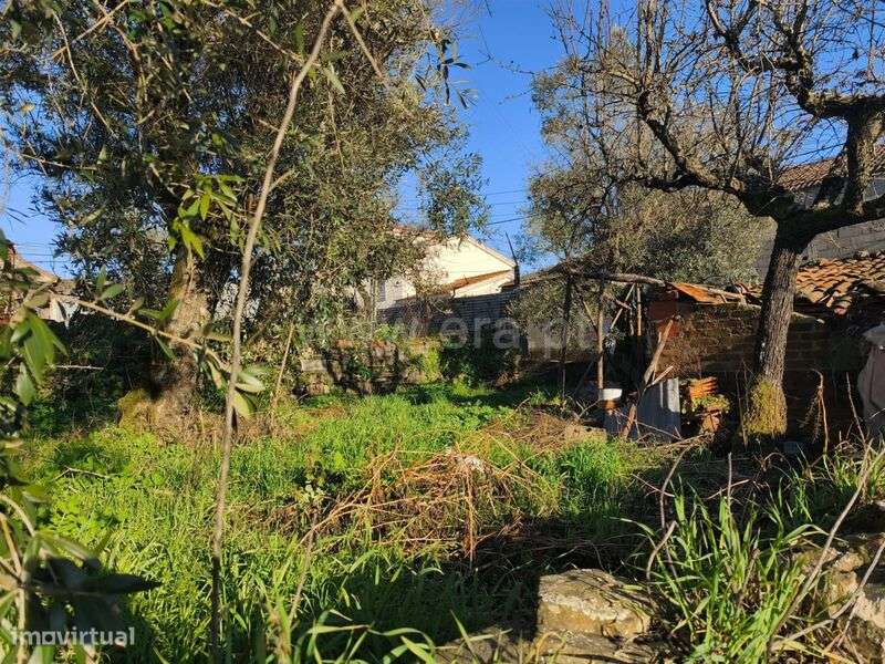Terreno / Covilhã, Peso e Vales do Rio - Grande imagem: 4/10