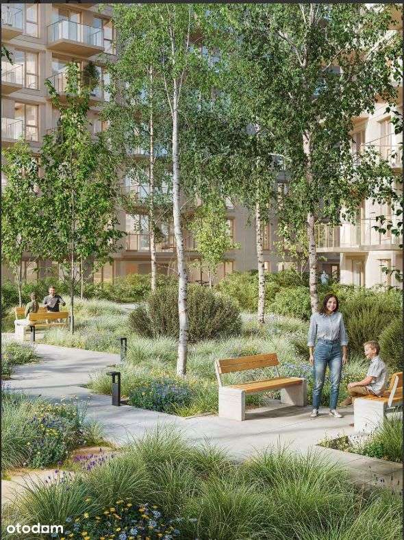 Sołacz - Winiary, nowe deweloperskie-1