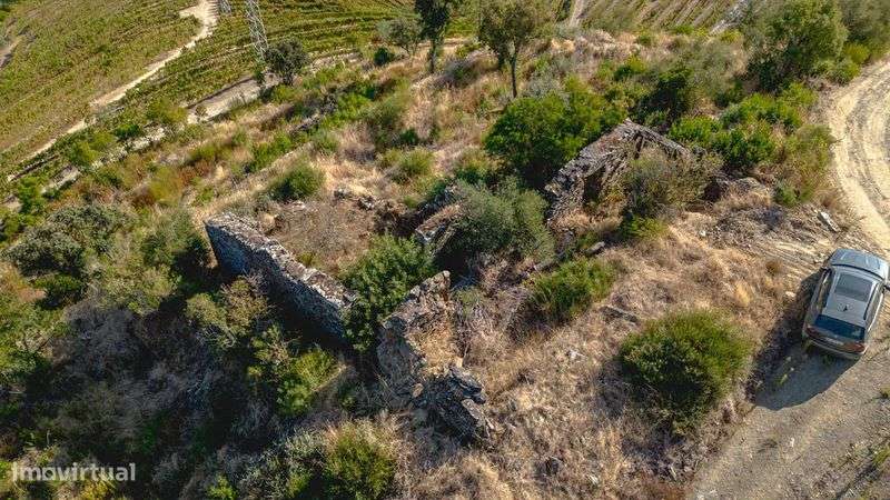 Quinta do Grilo - Alto Douro - Grande imagem: 4/10