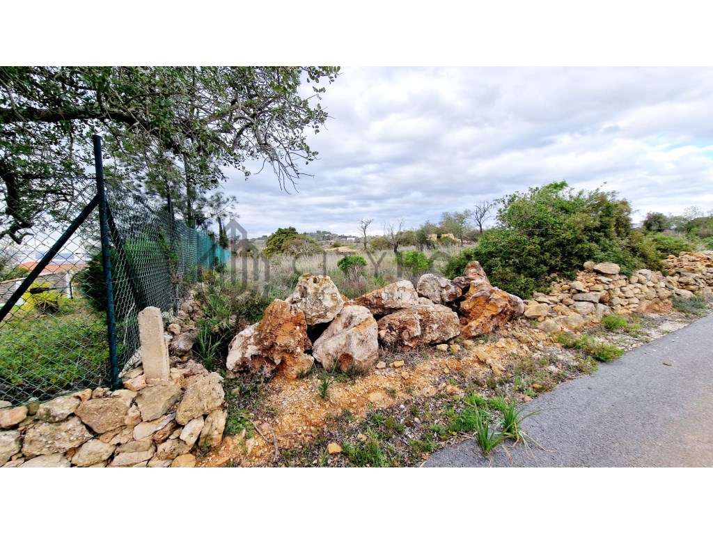 Terreno com Ruína - Grande imagem: 5/19