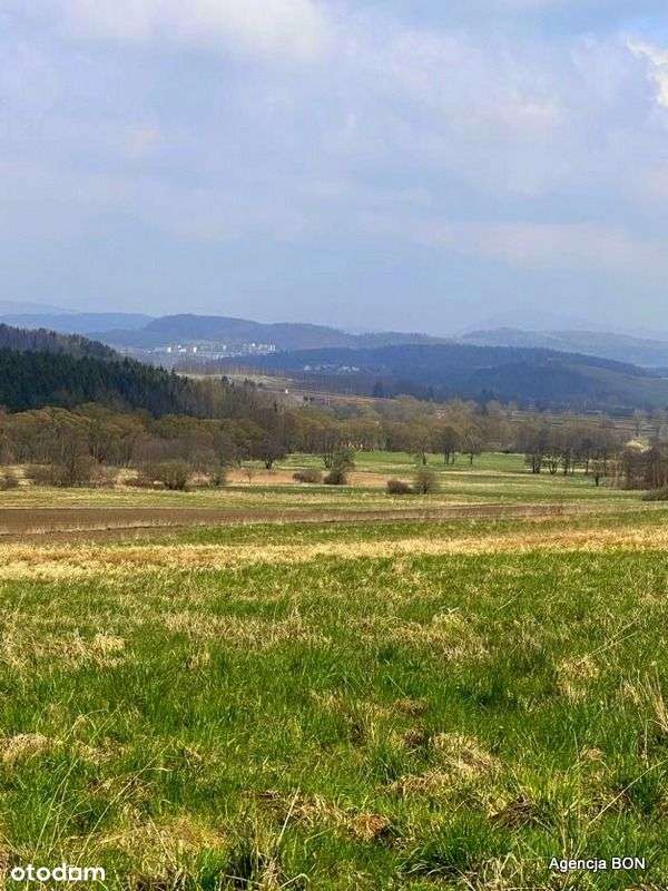 Działka w górach, okolice Karpacza-1