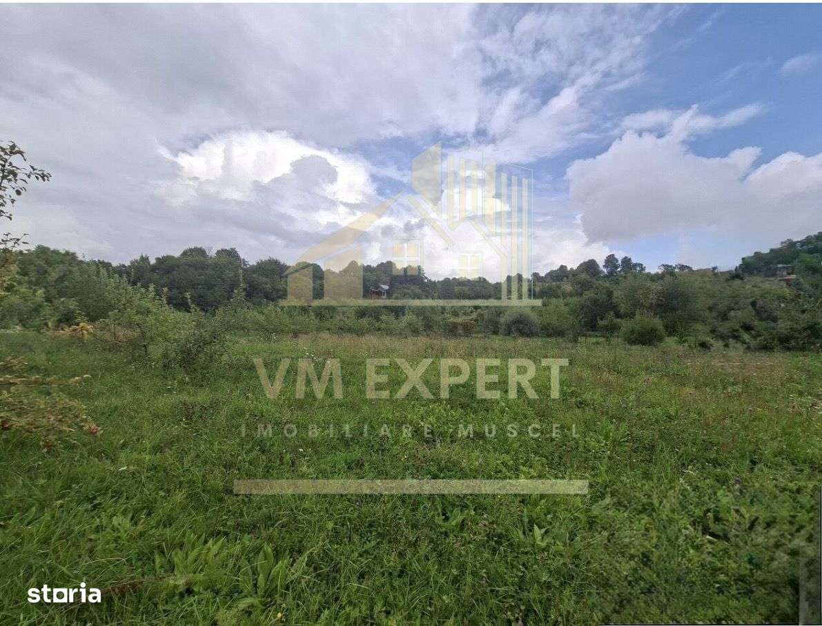 TEREN 20.621 MP CAMPULUNG - Imagine principală: 1/7
