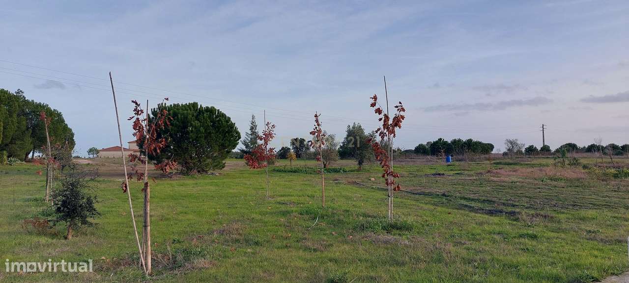Quinta com Moradia para vender na Herdade de Almada em Foros de Almada-32