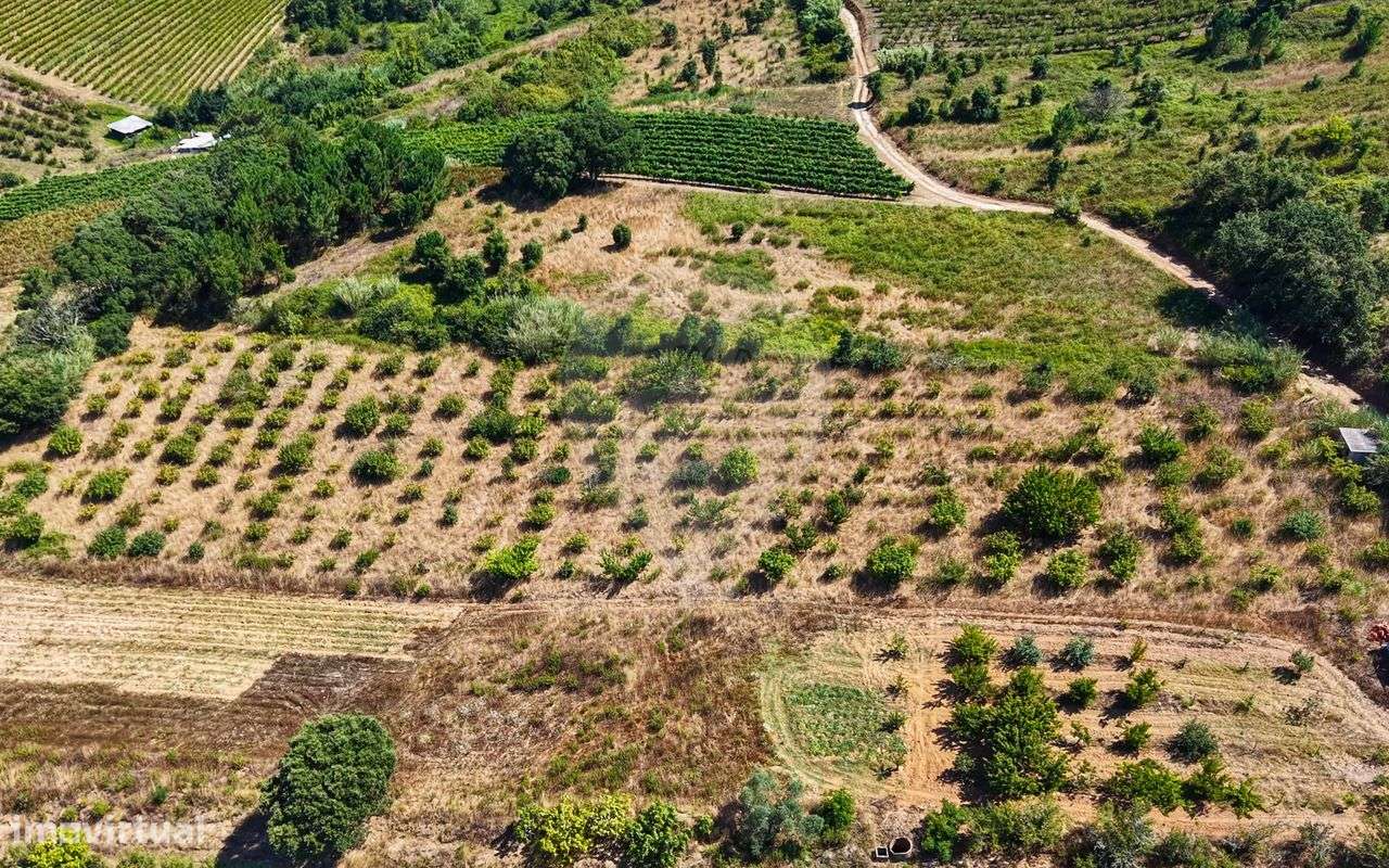 Terreno  para venda - Grande imagem: 5/40