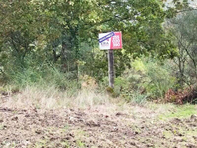 Terreno / Baião, Campelo e Ovil - Grande imagem: 4/4