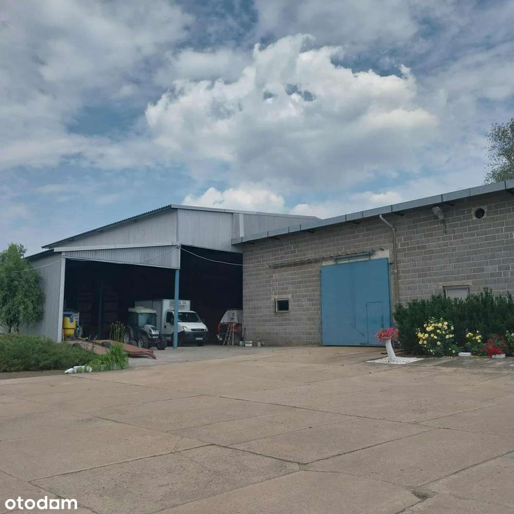 Gotowy biznes-sad-magazyny-chłodnie-biuro-dom / UKR-4