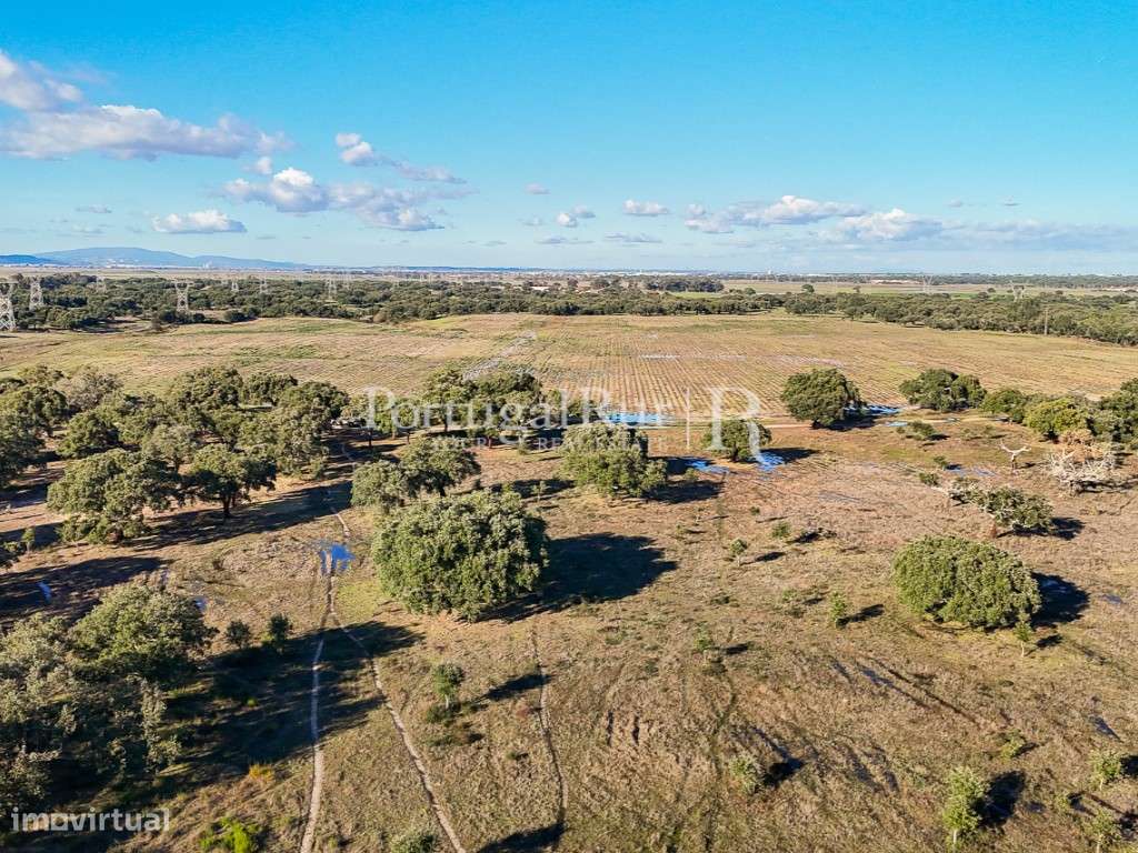 Herdade de 60 hectares para criação bovina e equina perto de Lisboa-22