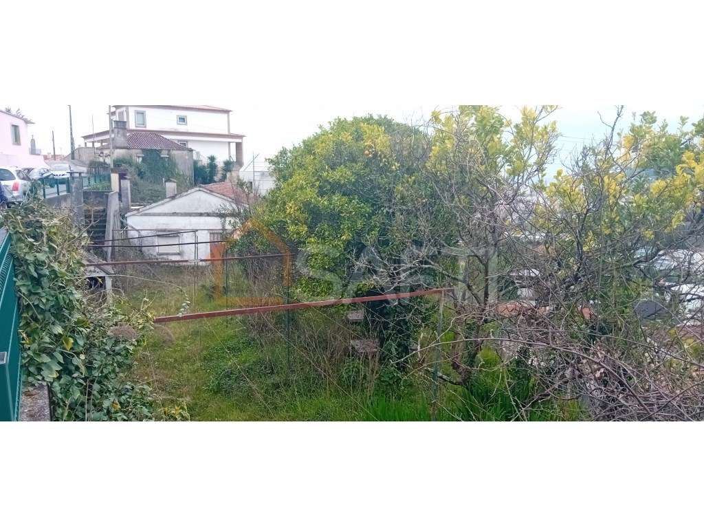 Oportunidade de investimento com 800 m2 - Grande imagem: 2/2