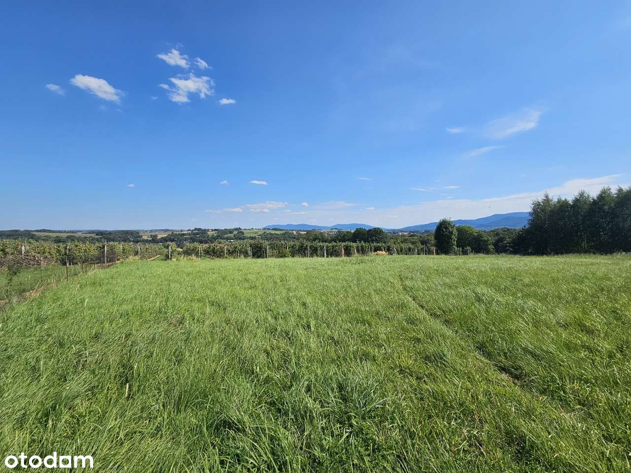 Urocza i zaciszna działka z widokiem na góry i sad-3