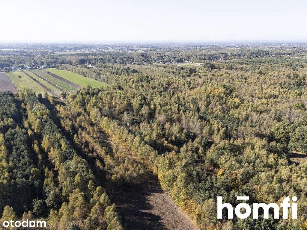 Działka na sprzedaż – Gorszej nie znajdziesz! - Pełny obrazek: 5/11