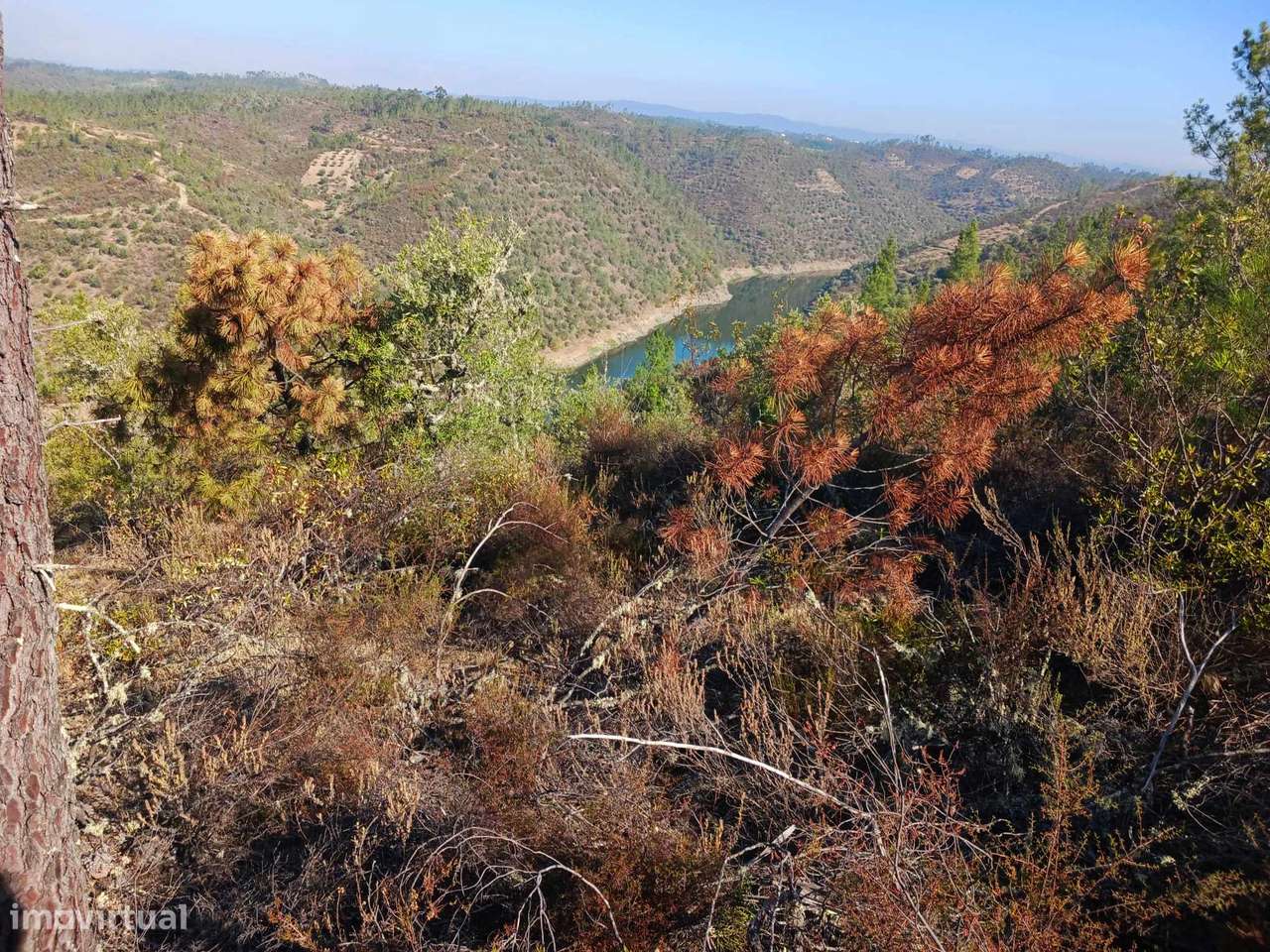 Terreno-6