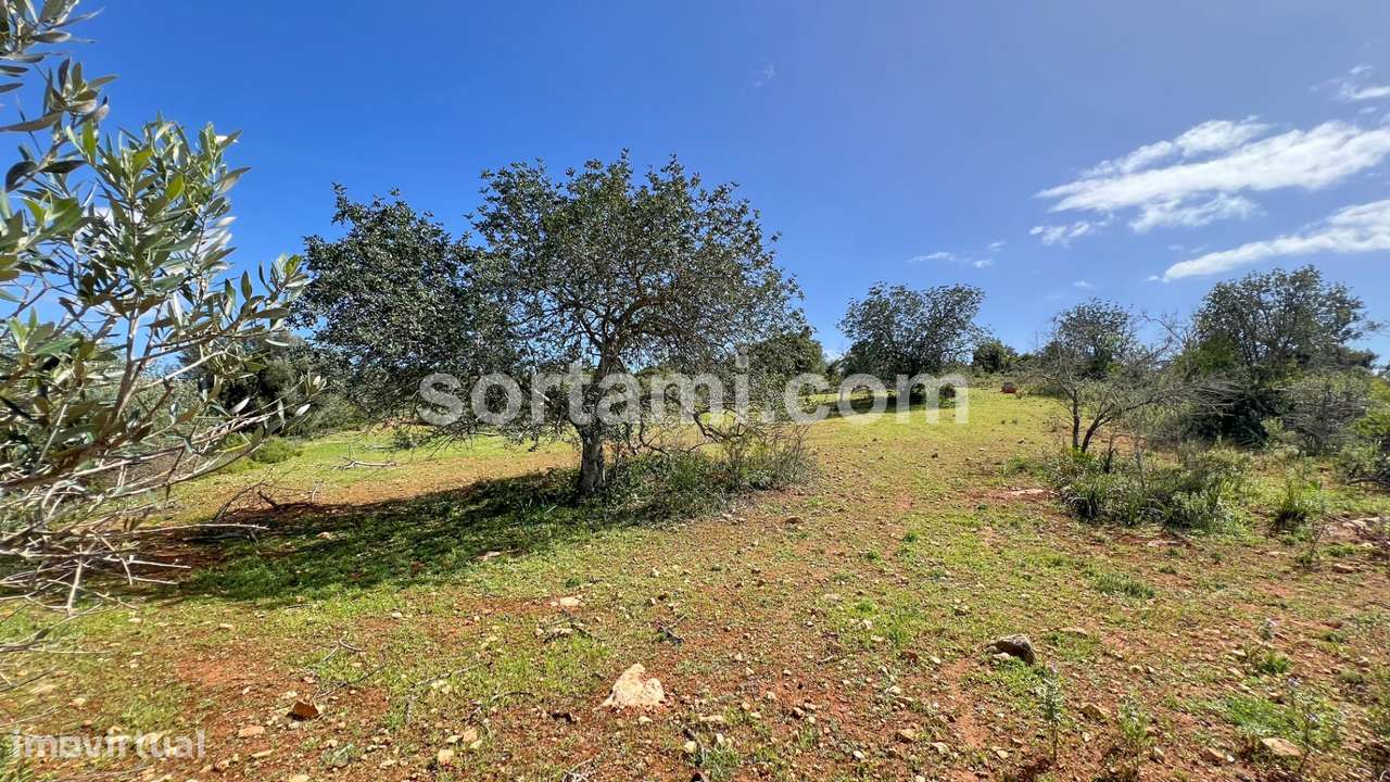 Terreno Para Construção  Venda em Algoz e Tunes,Silves - Grande imagem: 5/10