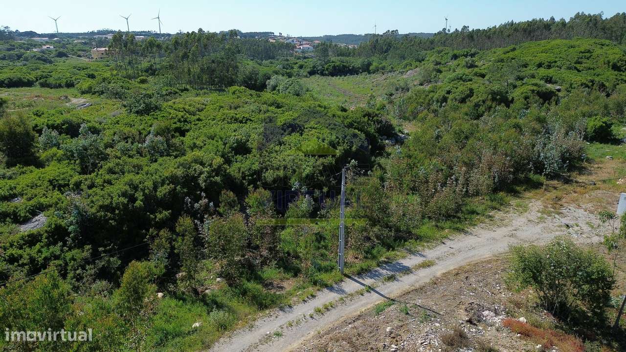 Terreno Rústico c/ 16.520 m2 Reguengo Pequeno - Lourinhã - Grande imagem: 5/32