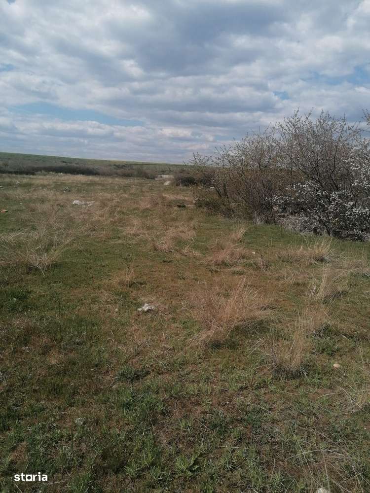 Vanzare teren 47.035mp - Comuna Plesoiu, Sat Arcesti-2