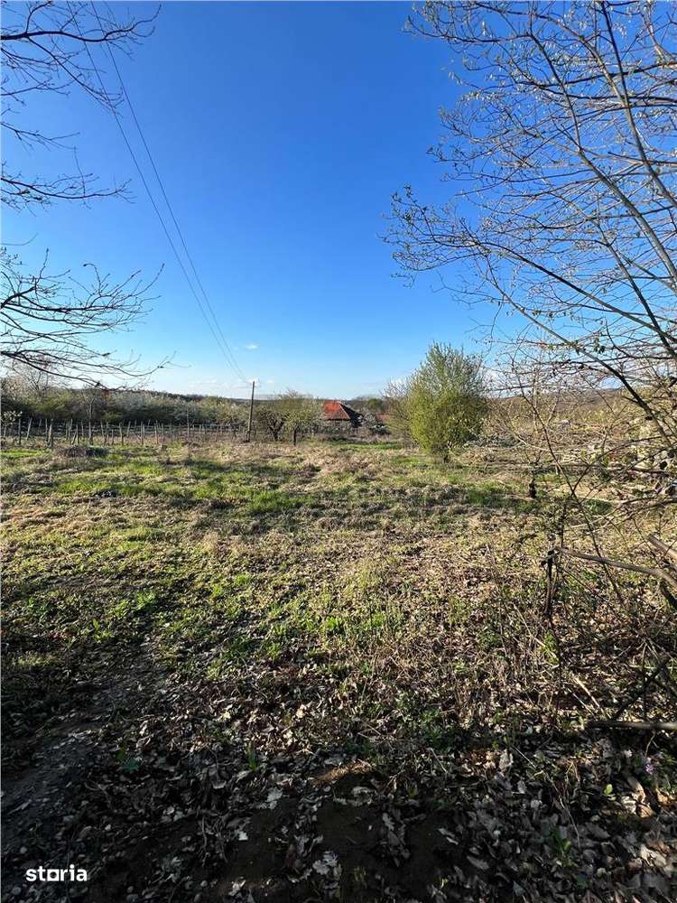 RECO teren de vanzare in zona de Dealuri Oradea - Imagine principală: 3/4