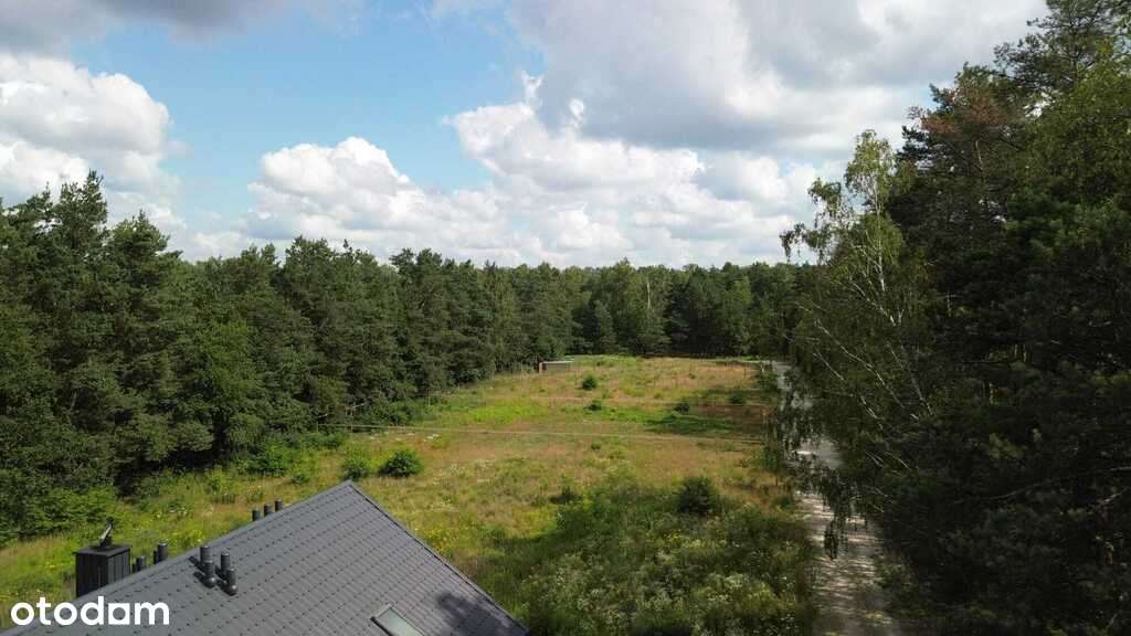 Działka budowlana w sąsiedztwie lasu - Łódź - Pełny obrazek: 5/6